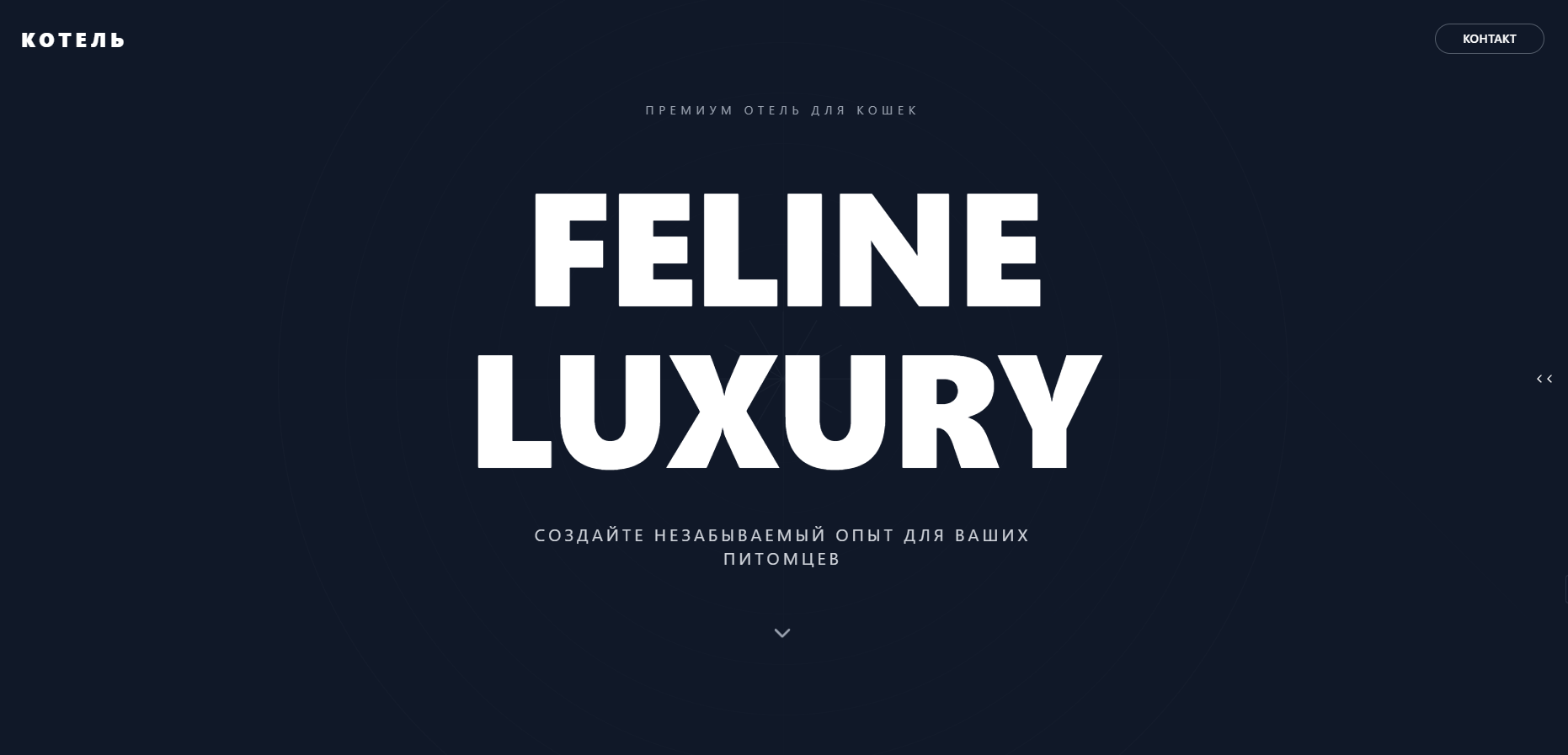 Feline Luxury - премиум отель для кошек
